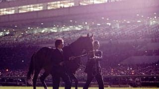 ディープインパクト最終世代の良血馬がアイルランドで重賞初制覇