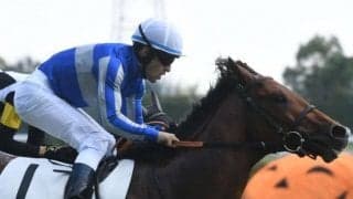 【中京5R新馬戦結果】ディープ産駒の最終世代オープンファイアが鋭く差し切りV