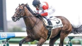 【中山5R新馬戦結果】ダノンゴーイチが危なげなく差し切る