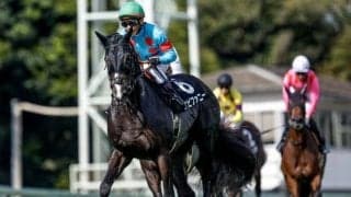 【JRA・WIN5】1番人気が4勝し的中1万4109票、配当は2万9040円に