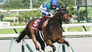 【セントウルS結果】メイケイエールがレコードで重賞6勝目　スプリンターズSへ向け好発進