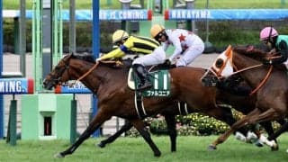 【京成杯AH】ファルコニアが混戦から抜け出す