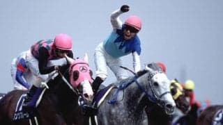 JRA現役馬わずか2頭　アドマイヤコジーンの産駒が古馬OP入り