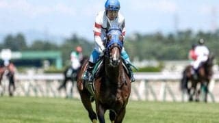 【阪神JS】ホッコーメヴィウス、マイネルプロンプトらが登録