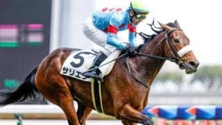 【ローズS】サリエラ、アートハウスらが登録