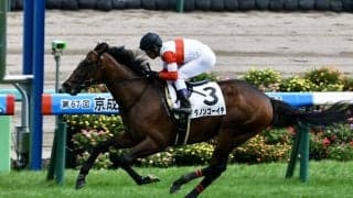 【新馬/中山5R】イスラボニータ産駒 ダノンゴーイチがデビューV