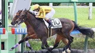 【新馬/中山3R】ホッコータルマエ産駒 タルマエロマエがデビューV