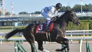 【仏・フォワ賞結果】地元のイレジーンが追い込みを決める　武豊騎手騎乗マイラプソディは6着