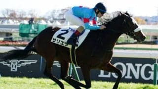 【ローズS登録馬】サリエラなど15頭