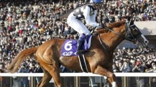 【先週のJRA抹消馬】2019年フェブラリーS覇者インティ、良血馬ダブルアンコール、亜G1馬の仔サトノパシュートなど