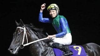 二冠牝馬とダービー馬が直接対決！/川崎・戸塚記念枠順確定
