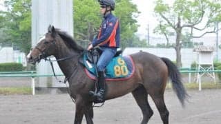 祖母はGI2勝ダンスインザムード ヒップホップソウルが松山弘平騎手でデビュー/関東馬メイクデビュー情報