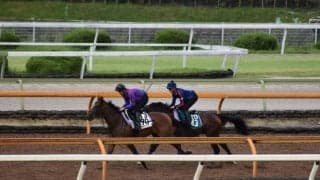 母に所縁の坂井騎手が騎乗予定　順調に追い切り進むラミアストラーダ/関西馬メイクデビュー情報