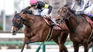 【AI予想・セントライト記念】実績馬VS上がり馬！ 人工知能が導き出した現時点での答えは…