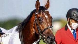 ドウデュースは凱旋門賞前哨戦で4着も武豊騎手「今日の結果に失望することはない」