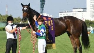 大いに期待したい芝スプリント重賞で驚異的な成績を持つミッキーアイル産駒