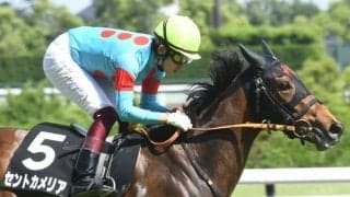 【ローズS展望】西の秋華賞トライアル、あの馬の重賞制覇に期待したい