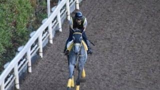 マリアエレーナなど、先週の入厩情報/栗東トレセンニュース