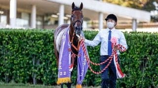 【紫苑S】売上は35億8880万8500円で昨年から減少