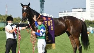 【セントウルS】売上は55億945万9800円で昨年から減少