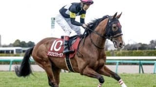 【セントライト記念予想オッズ】アスクビクターモアが予想1番人気