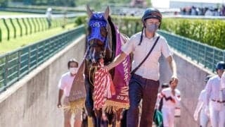 【阪神ジャンプS予想オッズ】ホッコーメヴィウスが予想1番人気