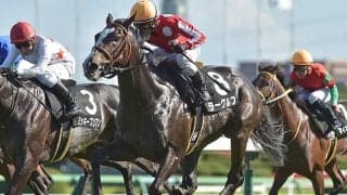 【セントライト記念展望】東の菊花賞トライアル、馬格のある馬が優勢