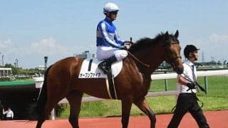 衝撃の追込で初陣V ディープ最終世代の3億円馬は放牧へ