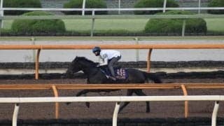 デアリングタクト、オールカマー1週前追い切り速報/栗東トレセンニュース