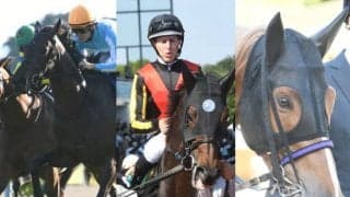 三冠牝馬が登場 戦線を離れていた重賞馬も続々と復帰予定/オールカマー(GII)出走想定馬