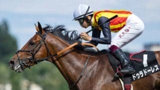 近親にディープインパクトなどがいる良血馬が3歳クラシック最終戦に参戦予定