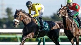 昨年の2歳女王サークルオブライフは牝馬三冠最終戦への参戦を慎重に判断