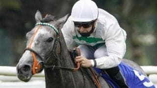 【凱旋門賞】前哨戦の結果を振り返る/バーデン大賞