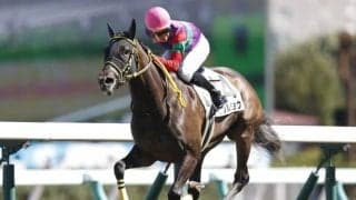 【ローズS予想】人気薄の馬の好走に期待！ 重賞初挑戦の狙い目な一頭とは…