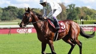 ニエル賞で完敗を喫したドウデュース。はたしてそこに、凱旋門賞制覇への「答え」があるのか