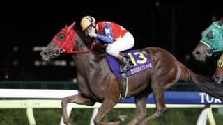 【川崎・戸塚記念注目馬】成長遂げた3歳馬が一堂に会する一戦　牡馬・牝馬の世代トップホースが出走