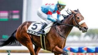 【ローズS出走馬・騎手確定】サリエラ＆ルメール騎手、アートハウス＆川田将雅騎手など14頭