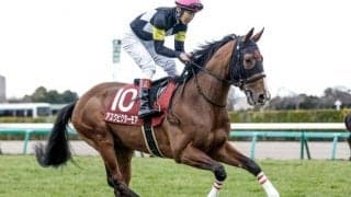 【セントライト記念出走馬・騎手確定】アスクビクターモア＆田辺裕信騎手、オニャンコポン＆菅原明良騎手など13頭