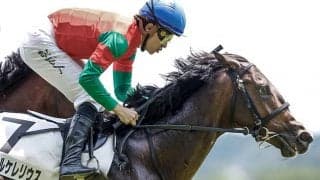 【次走】マイネルケレリウスはサウジアラビアRCへ 6月東京の新馬戦を勝利