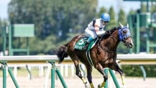 【阪神ジャンプS出走馬・騎手確定】ホッコーメヴィウス＆黒岩悠騎手、ゲインスプレマシー＆石神深一騎手など14頭