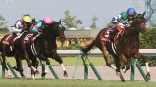 【セントウルS】メイケイエールが秋初戦を制する