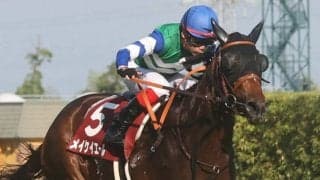 【セントウルS】池添謙「上手く誘導出来た」メイケイエールが秋初戦を制する