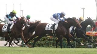 【新馬/中京5R】ディープインパクト最終世代 オープンファイアが圧巻の走りで快勝