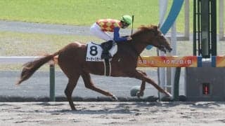 【新馬/中京4R】パイロ産駒 テーオーリカードがデビューV