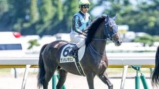 【次走】テンカノギジンは東スポ杯2歳Sへ 新潟で初陣Vの1億円馬が重賞狙う