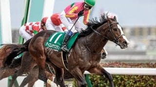 【次走】重賞5勝馬テイエムサウスダンは東京盃へ 転厩初戦も鞍上は岩田康誠騎手