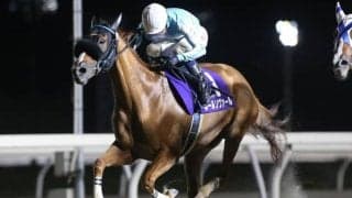 【門別・旭岳賞結果】10歳馬ルールソヴァールが早め先頭から押し切る