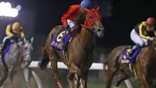 【川崎・戸塚記念結果】スピーディキックが3馬身差の圧勝で重賞6勝目