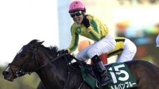 【POG】重賞馬を母に持つサトノシトラスが25日中山で初陣 鞍上は横山武史騎手