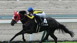 ローズＳはコース適正が高いディープインパクト産駒の良血馬、末脚が武器のオルフェーヴル産駒の２頭に期待